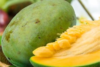 African Mango ingredient used to support weight loss and healthy appetite control