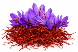 Captura-de-tela-2026-03-20-110022.png