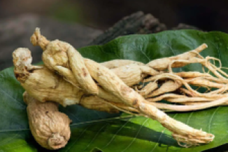 Panax Ginseng Aerial Extract used in Gluco Harmony Drops for vitality and metabolic support.